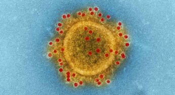 Why You Must Experience Caronavairus At Least Once In Your Lifetime.