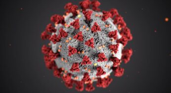 Coronavirus disease (COVID-19) is an infectious disease caused by a new virus.
